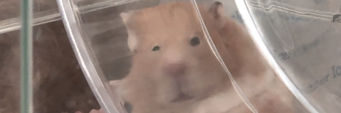 adkrr_'s profile banner image