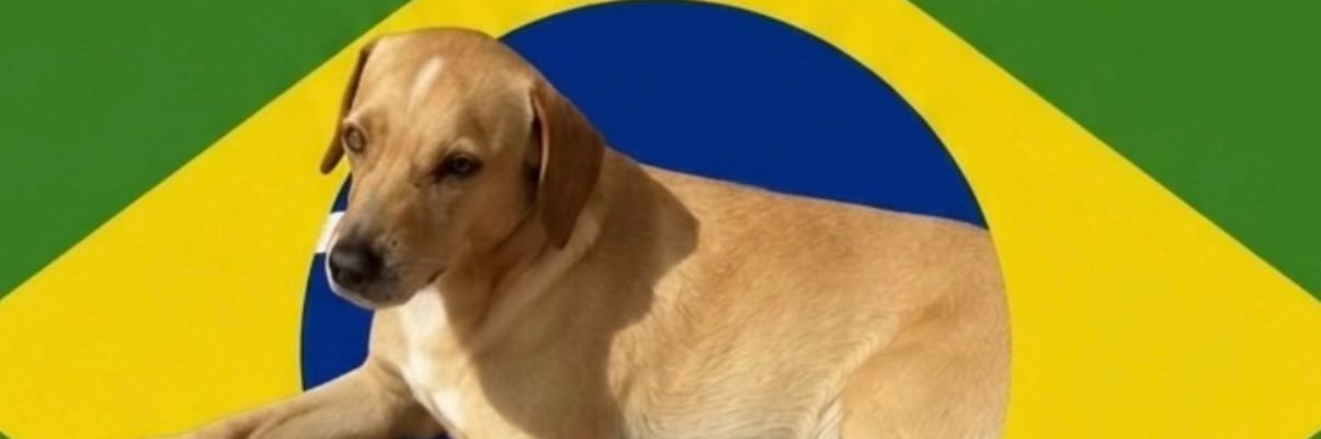 oicarov's profile banner image