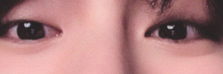 pnn_pb banner