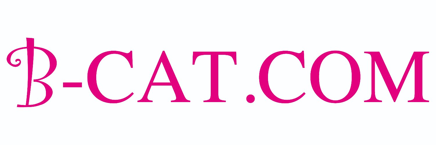 b_cat1's profile banner image