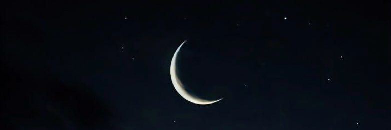 Ş. banner