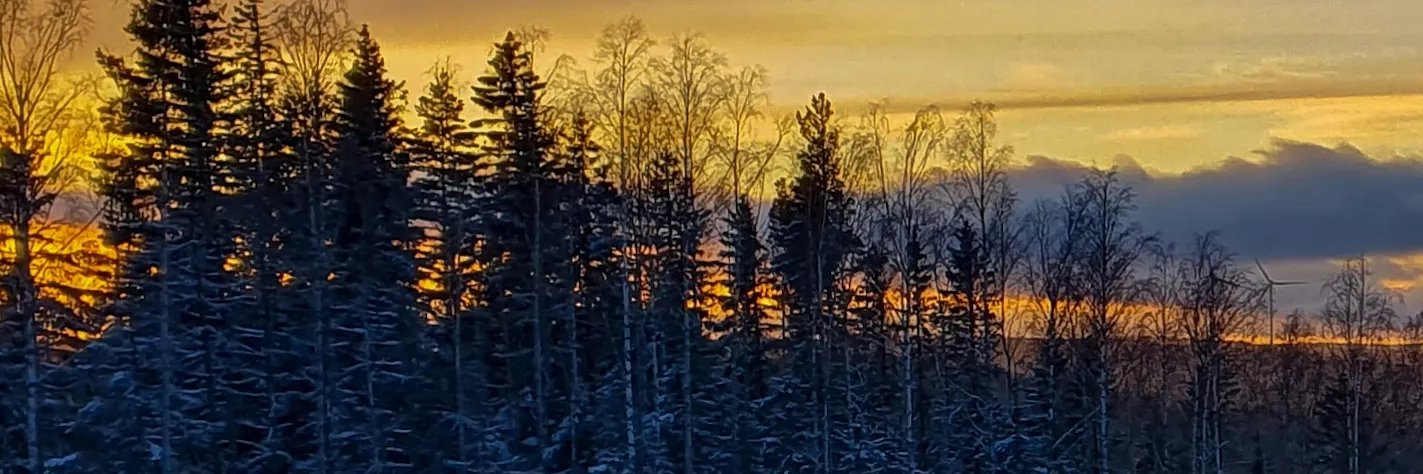 Fyrfarsan's profile banner image