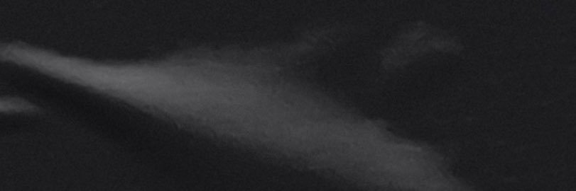 BΛCKERS banner