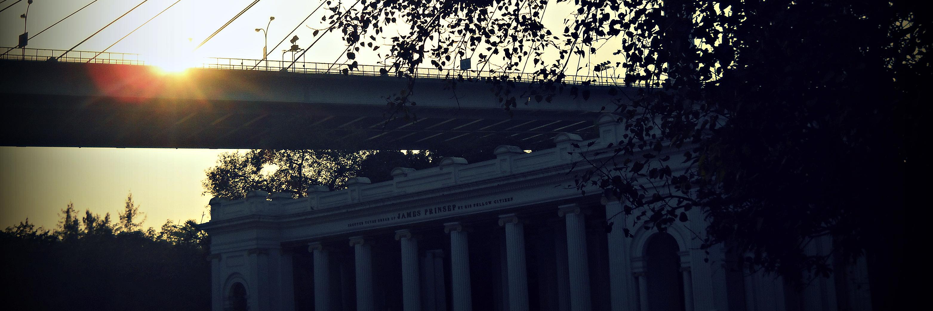thinkbioinfo's profile banner image