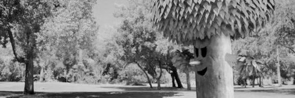 whispyws Profile Banner