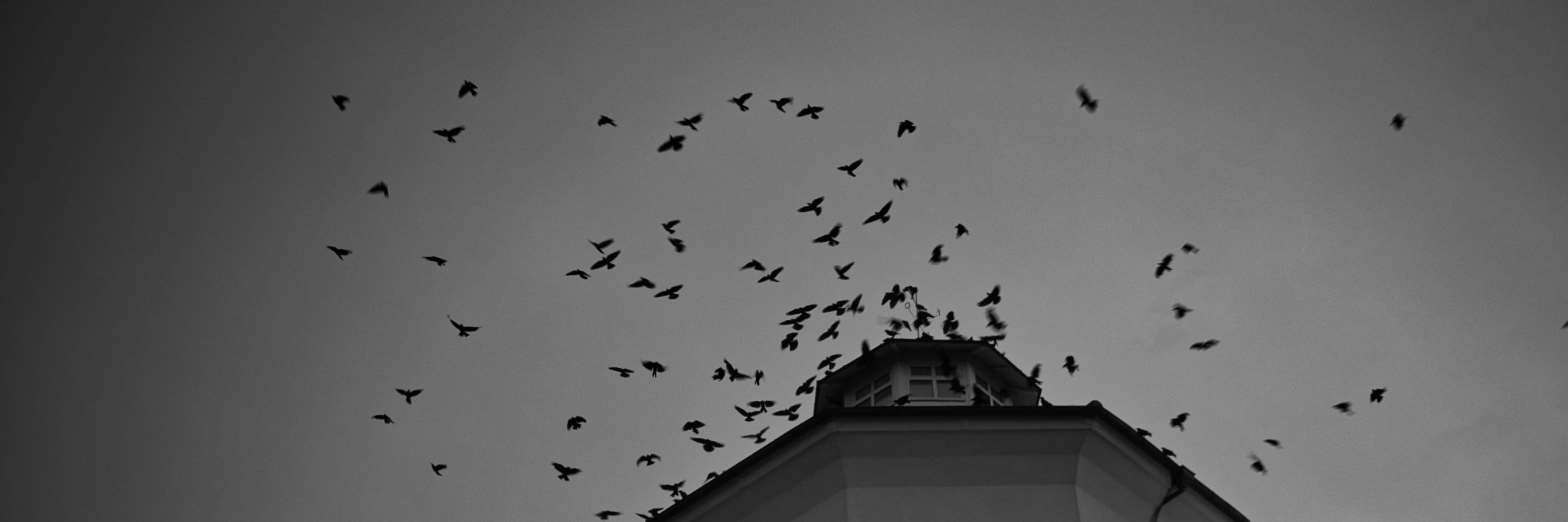 Niklas Lochschmidt banner