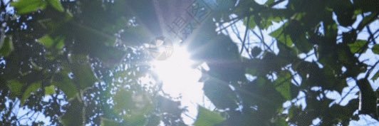 reckless banner