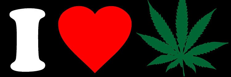 hayleedfwu's profile banner image