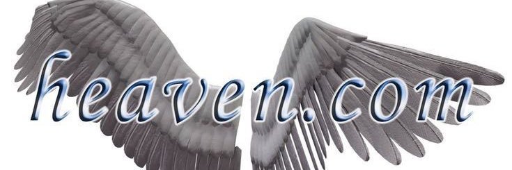 tc 🪬 banner
