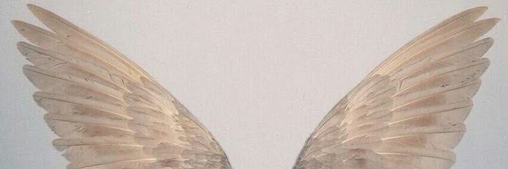 𝑹. banner