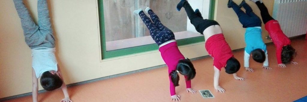 AFA Els Llorers banner