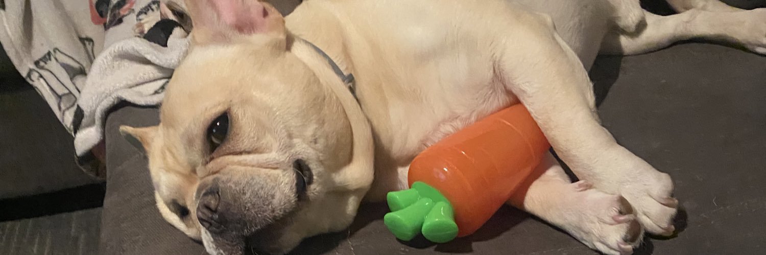 wrinklyhenry's profile banner image