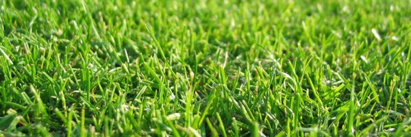 AFLOntario Profile Banner