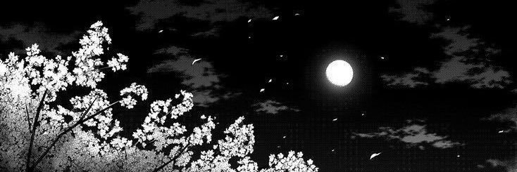 celestemidnight's profile banner image