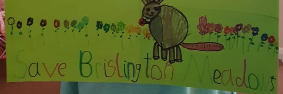 Brislington Meadows banner