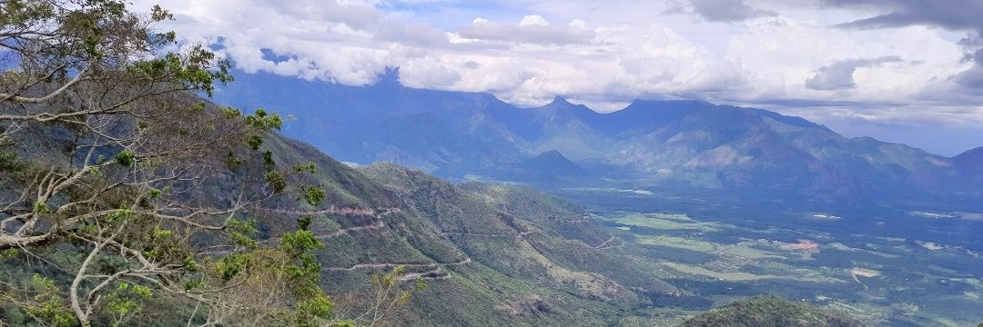 Alokdevrani's profile banner image