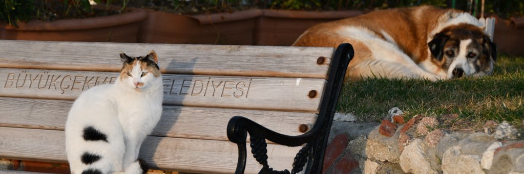 eypsrbst's profile banner image