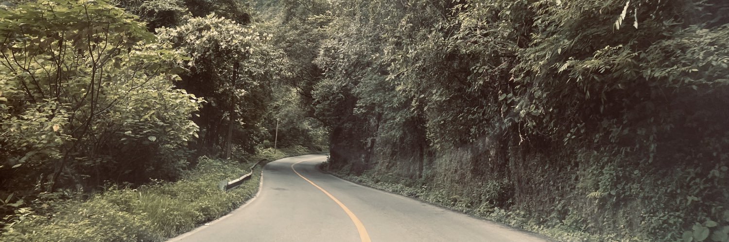 CalloRolando's profile banner image
