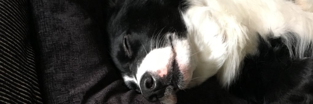 graemew2000's profile banner image