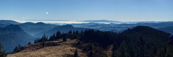 krielisa_ Profile Banner