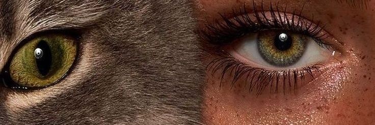 Sandybalbaa3's profile banner image