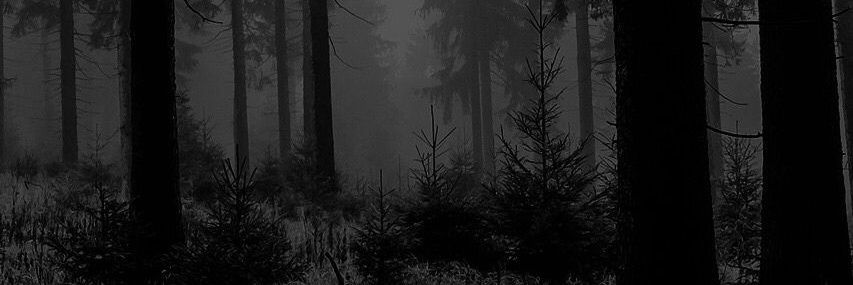 Magui_meg's profile banner image