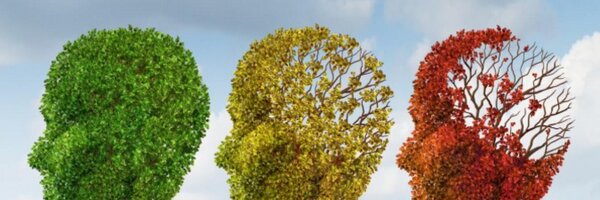 slevi Profile Banner