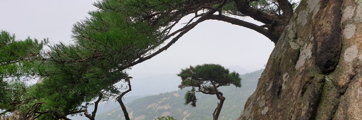 daewon9un's profile banner image