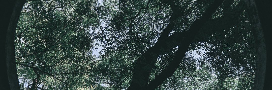 lauragrandeg's profile banner image