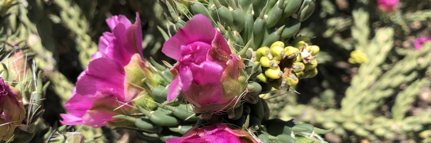 Michael Whyman banner