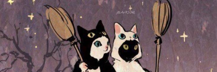 s. banner