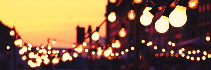 Susan Lowerre banner