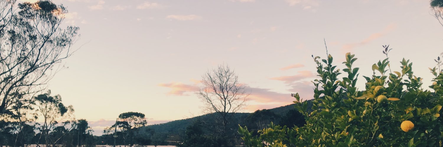 breejamielee's profile banner image