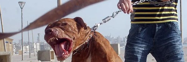 kwalkdown12 Profile Banner