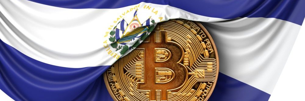 Bitcoin503's profile banner image