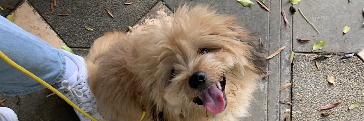beverlymina_'s profile banner image