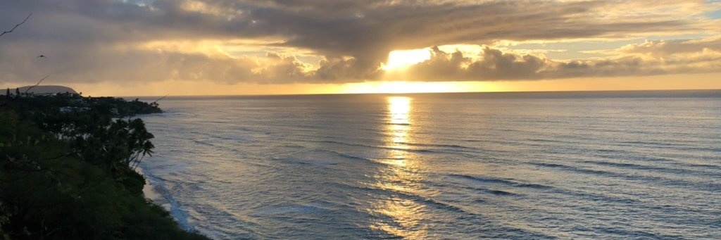 Andrew Johnstone banner