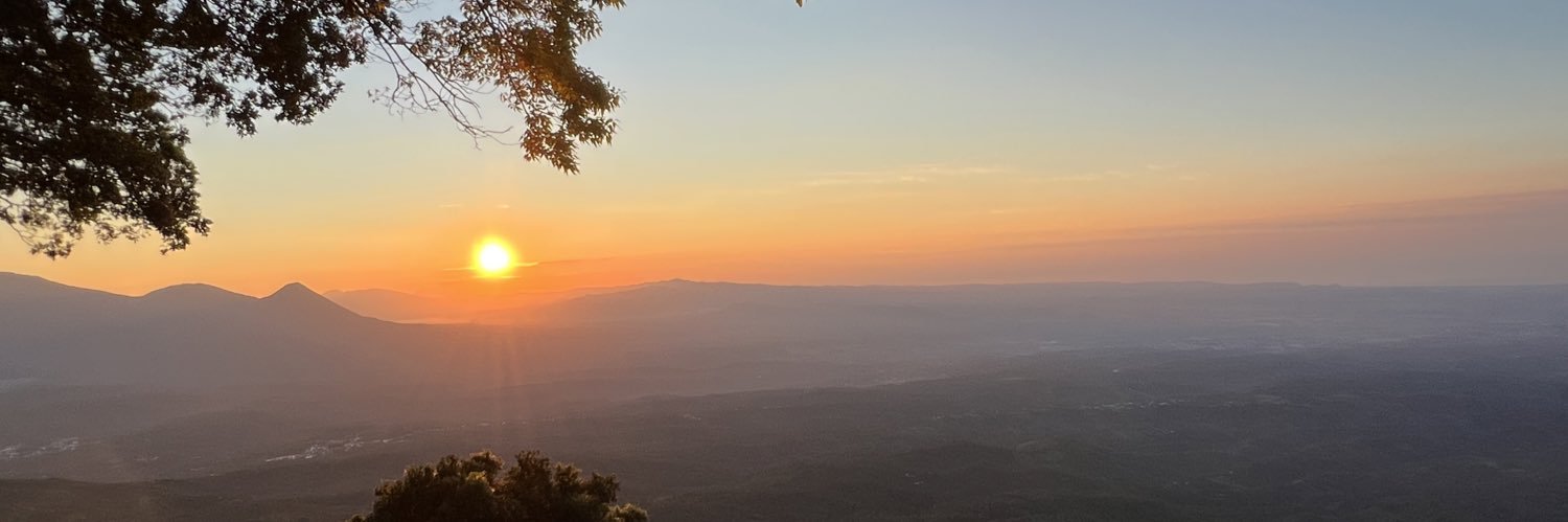 Billy Rollins banner