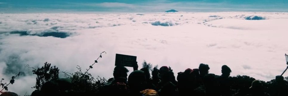 sonofmufasa_'s profile banner image