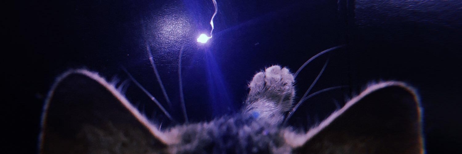 obviouslayx's profile banner image