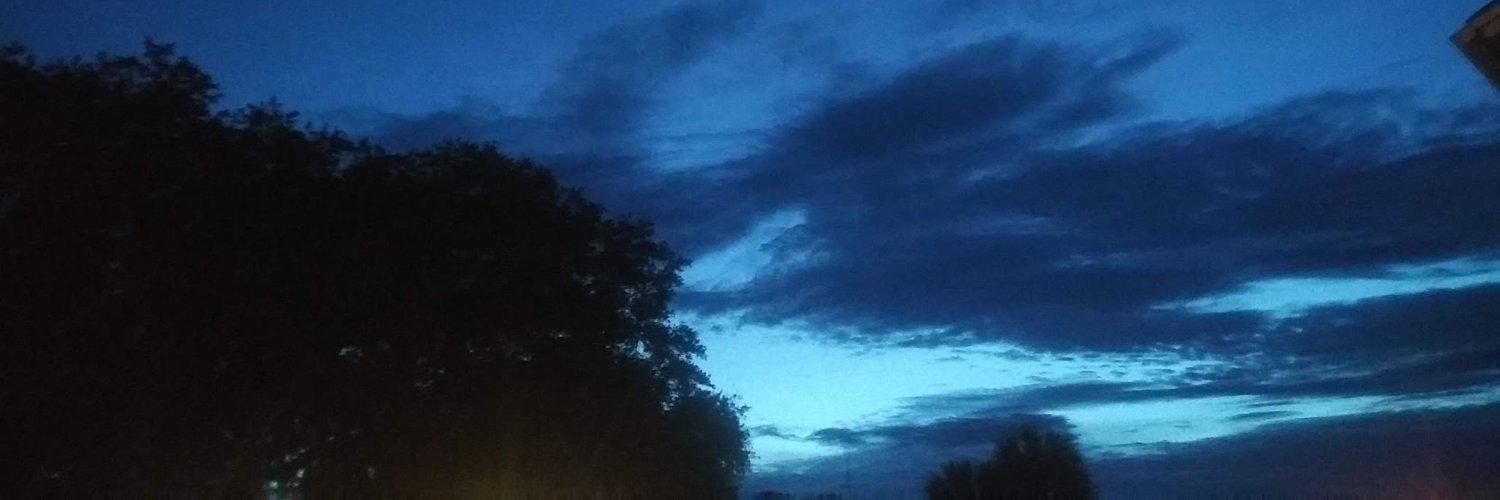 Reverend Kinsman banner