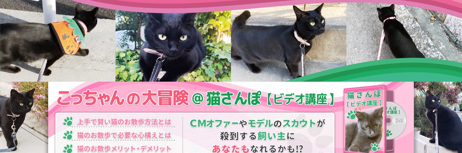 こっちゃんの大冒険@猫YouTuber's banner