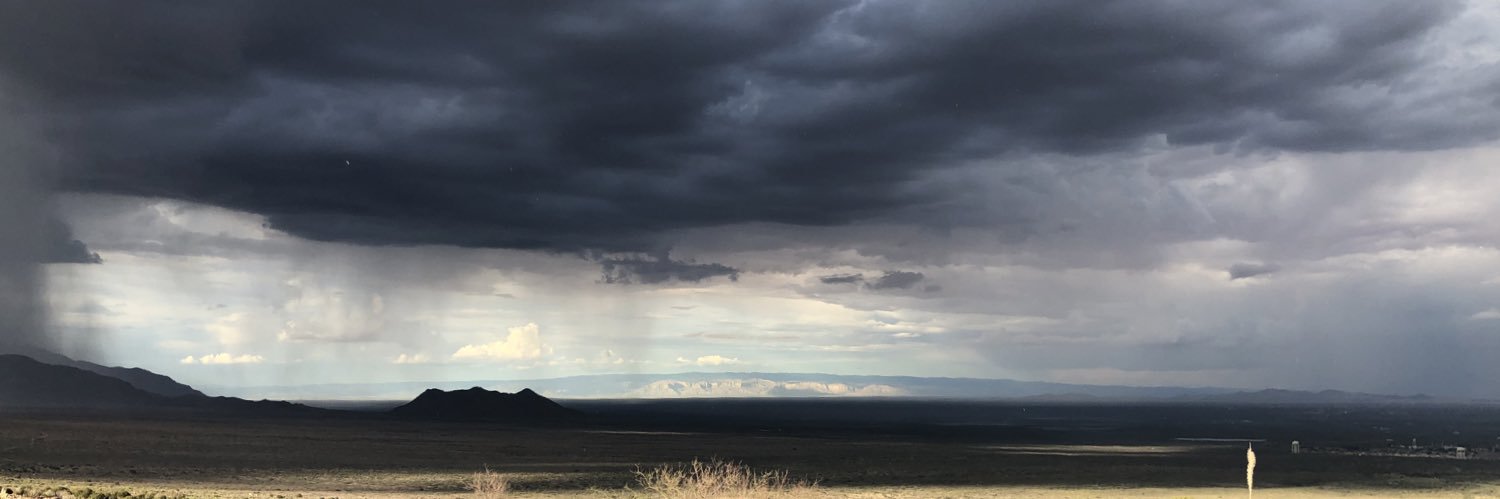 Dr Conrad Goodwin banner