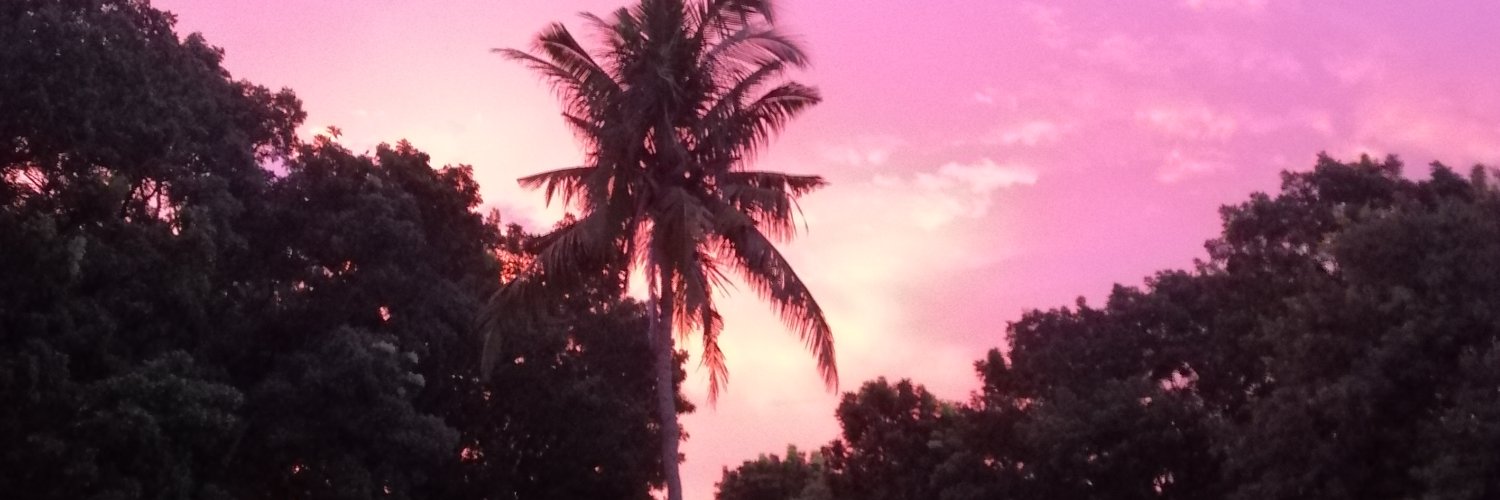 berylli15's profile banner image