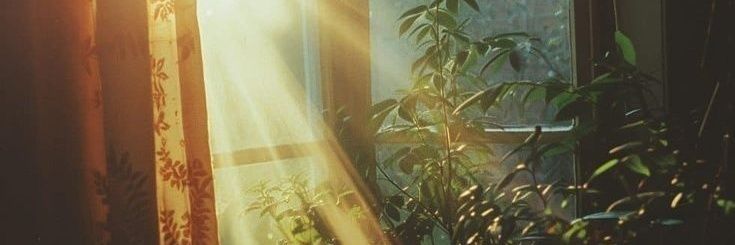 เรน banner