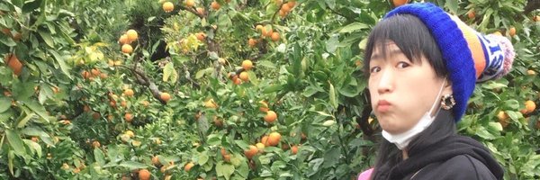 _sachikokojima_ Profile Banner