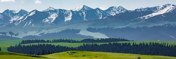 王麗です（互fo💯） banner