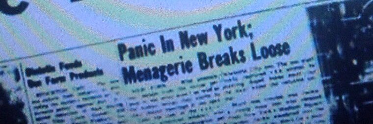 Col Alois Hammer banner