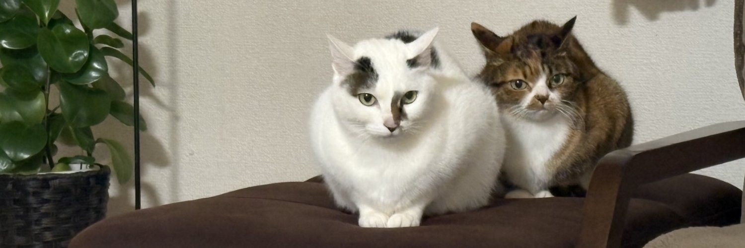 豊成春子（四国放送アナウンサー） banner