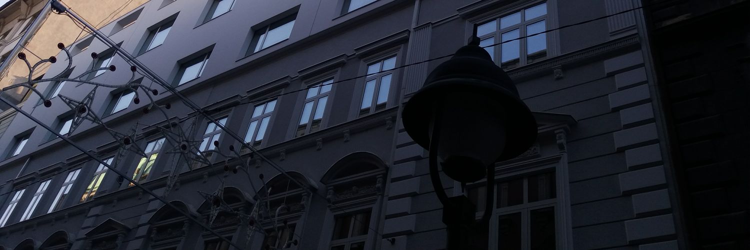 Vlaicconne's profile banner image